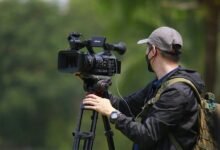 telecom operations contact numbers